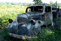 Transportation